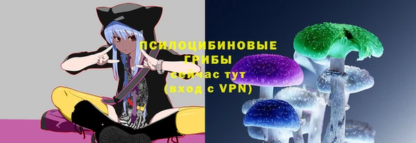шишки Михайловка
