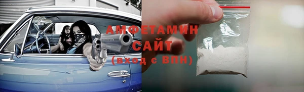 прущие грибы Мегион