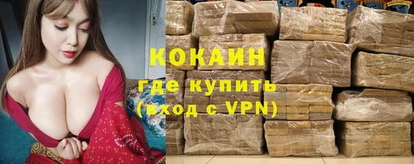 шишки Михайловка