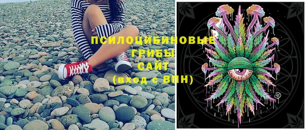 прущие грибы Мегион