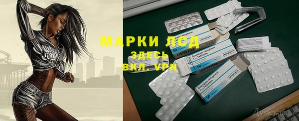 прущие грибы Мегион