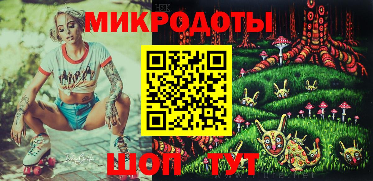 МЕФ Елабуга